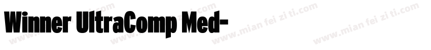 Winner UltraComp Med字体转换